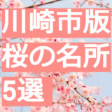 【川崎市】今年こそは行っておきたい！桜の名所・お花見スポット5選
